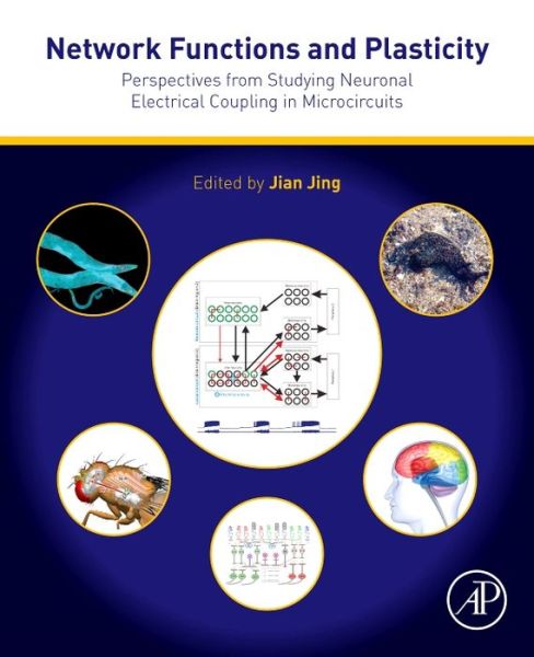 Network Functions and Plasticity: Perspectives from Studying Neuronal Electrical Coupling in Microcircuits - Jian Jing - Bücher - Elsevier Science Publishing Co Inc - 9780128034712 - 18. April 2017