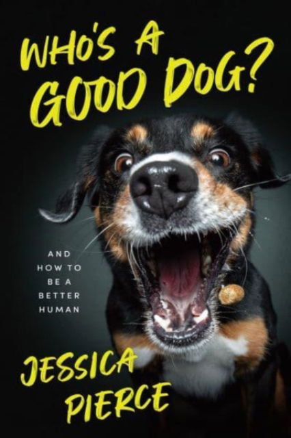 Cover for Jessica Pierce · Who's a Good Dog?: And How to Be a Better Human (Hardcover Book) (2023)