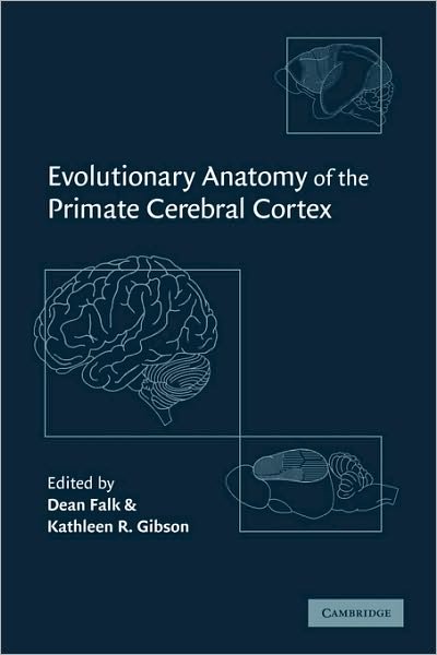 Cover for Dean Falk · Evolutionary Anatomy of the Primate Cerebral Cortex (Gebundenes Buch) (2001)
