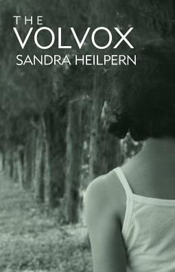 Cover for Sandra Heilpern · The Volvox (Paperback Book) (2019)