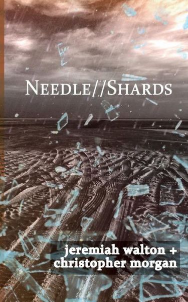 Needle // Shards - Jeremiah Walton - Książki - Emp - 9780998507712 - 10 kwietnia 2017