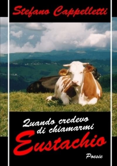Cover for Stefano Cappelletti · Quando credevo di chiamarmi Eustachio (Buch) (2010)