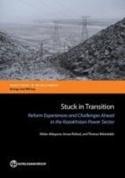 Cover for Mirlan Aldayarov · Stuck in transition (Paperback Book) (2017)