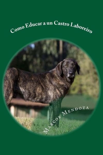 Cover for Marcos Mendoza · Como Educar a un Castro Laboreiro (Paperback Book) (2017)
