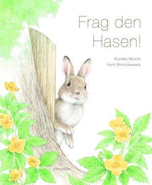 Frag den Hasen! - Kumiko Moichi - Books - minedition - 9783039340712 - September 1, 2024