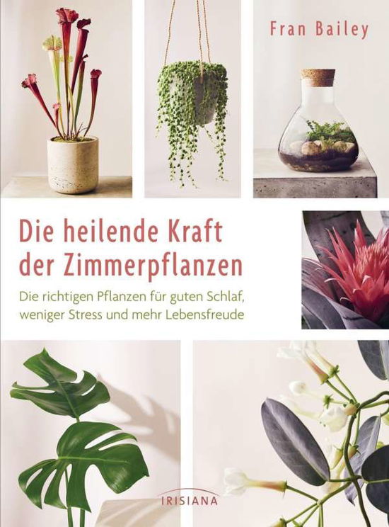 Die heilende Kraft der Zimmerpfl - Bailey - Books -  - 9783424153712 - 