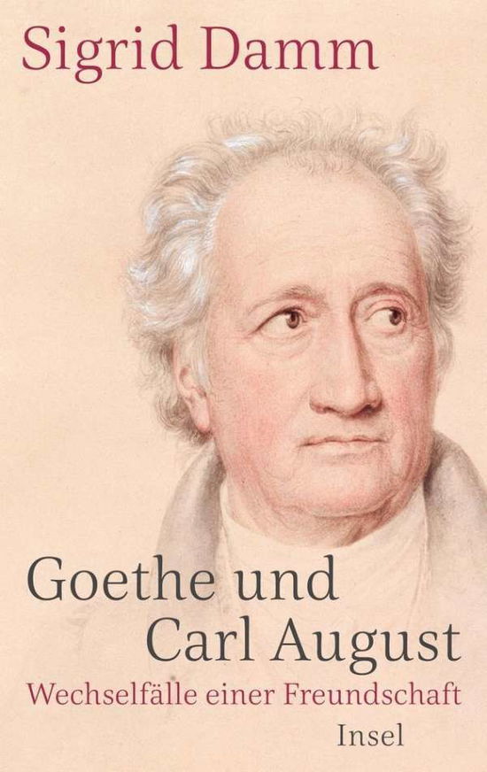 Cover for Damm · Goethe und Carl August (Bok)