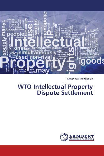 Cover for Katarina Nedeljkovic · Wto Intellectual Property Dispute Settlement (Paperback Book) (2013)