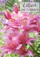 Lilien im Garten (Wandkalender 20 - Kruse - Książki -  - 9783671155712 - 