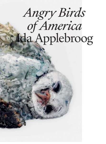 Ida Applebroog: Angry Birds of America -  - Boeken - Verlag fur moderne Kunst GmbH - 9783903269712 - 26 november 2019