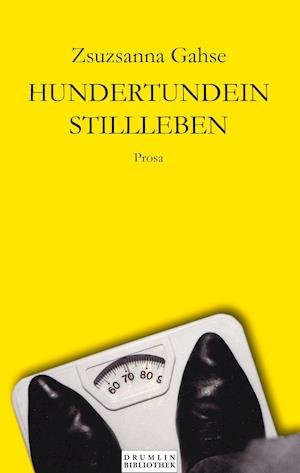 Cover for Zsuzsanna Gahse · Hundertundein Stillleben (Hardcover Book) (2016)