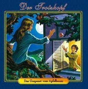 Cover for Emmy von Rhoden · Der Trotzkopf 2 - Das Gespenst im Apfelbaum (CD) (2015)