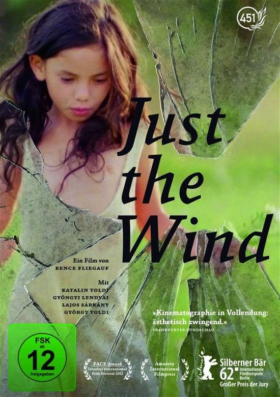 Cover for Bence Fliegauf · Just the Wind (DVD) (2014)
