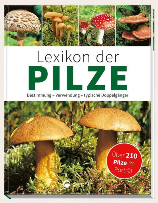 Cover for Kothe · Lexikon der Pilze (Book)