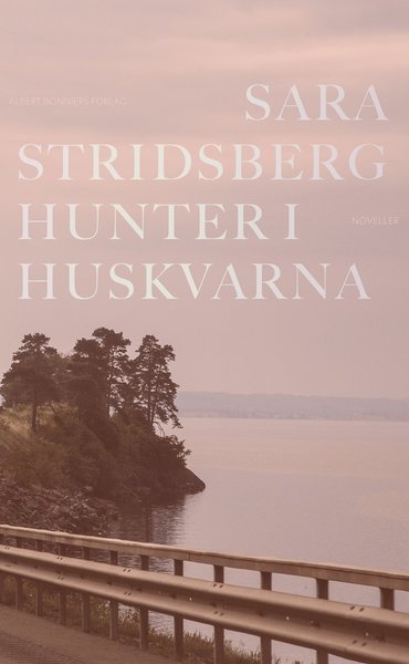 Cover for Sara Stridsberg · Hunter i Huskvarna (Gebundesens Buch) (2021)