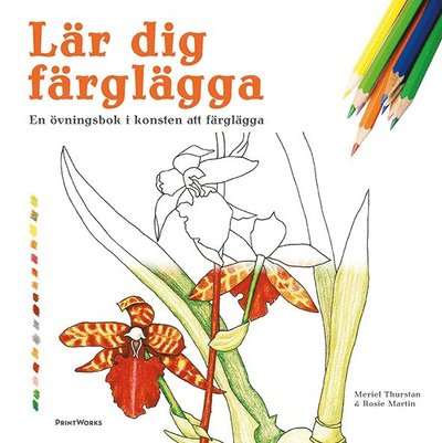 Cover for Rosie Martin Meriel Thurstan · Lär dig färglägga : en övningsbok i konsten att färglägga (Taschenbuch) (2017)