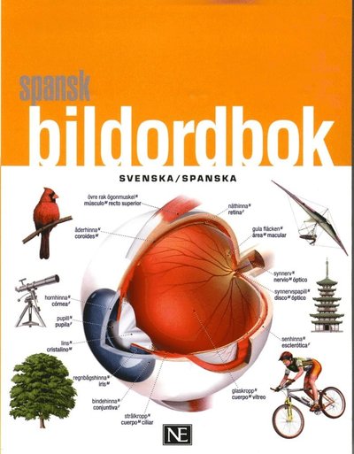 Cover for Spansk bildordbok (Book) (2016)