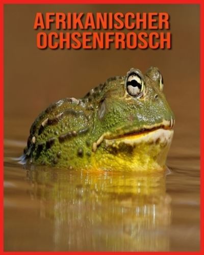 Cover for Annie Nichols · Afrikanischer Ochsenfrosch (Paperback Book) (2021)