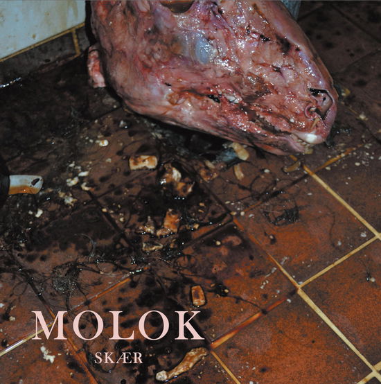 Cover for Molok · Skær (LP) (2021)