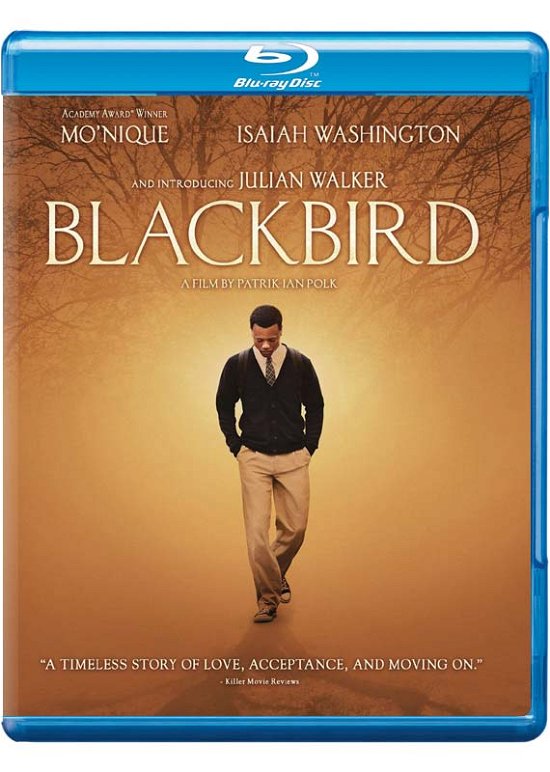 Cover for Blackbird (Blu-ray) (2015)
