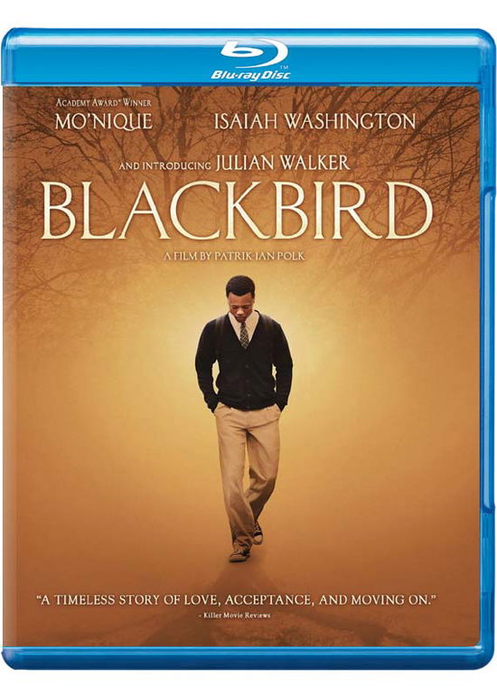 Cover for Blackbird (Blu-Ray) (2015)