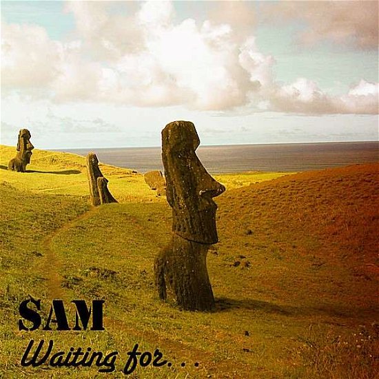 Cover for Sam · Waiting for (CD) (2008)