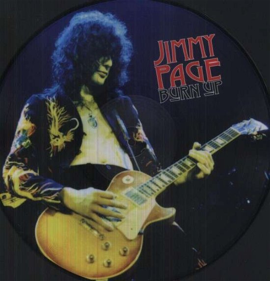 Cover for Page Jimmy · Burn Up (LP) [Picture Disc edition] (2016)