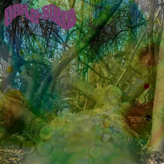 Cover for Oak &amp; Bone (LP) (2011)