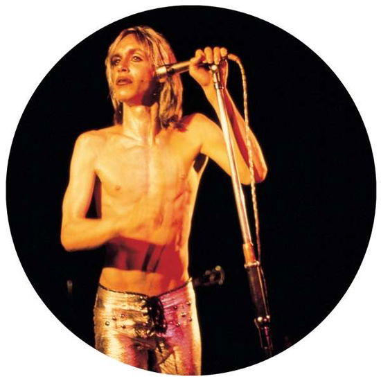 Cover for Iggy &amp; The Stooges · More Power (LP) [Picture Disc edition] (2021)