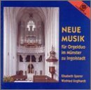 Cover for E. Sperer · Neue Musik Fur Orgelduo (CD) (2013)