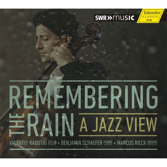 Cover for Radutiu,valentin / Schaefer,benjamin / Rieck · Remembering the Rain - a Jazz View (CD) (2015)