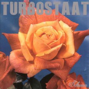 Cover for Turbostaat · Schwan (LP) (2003)