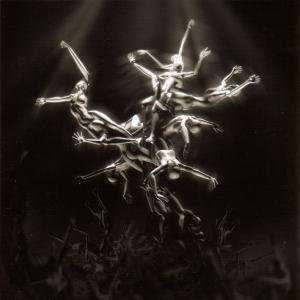 Cover for Lisa Gerrard · Silver Tree (LP) [High quality, Limited edition] (2007)