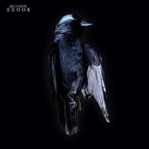 Cover for Rico Friebe · Shook (CD) [Ltd. Cd edition] (2024)