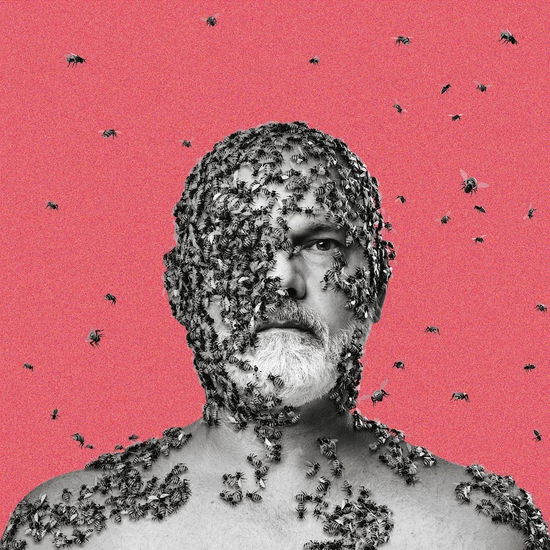 Wilful Pursuit Of Ignorance - Carson - Music - SIXTEENTIMES MUSIC - 4260559710713 - April 11, 2022