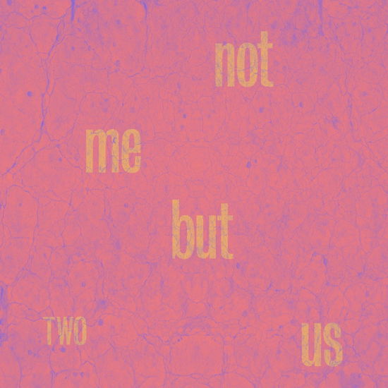 Two - Not Me But Us - Musique - SONIC CATHEDRAL - 5060853703713 - 29 mars 2024