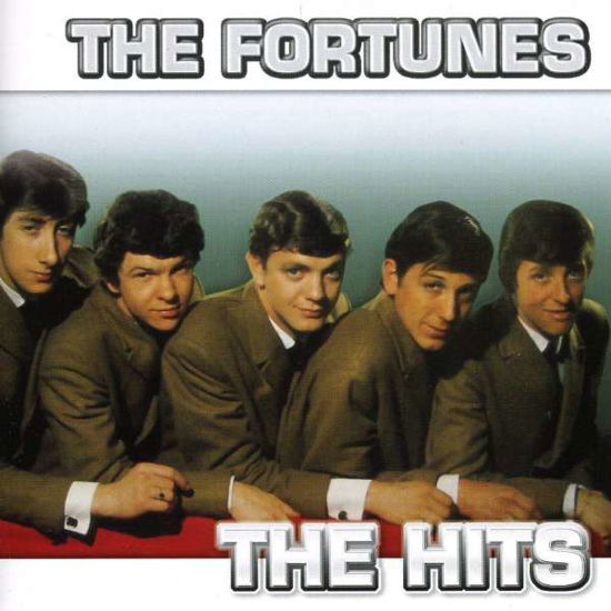 Cover for Fortunes · Hits (CD) (2009)