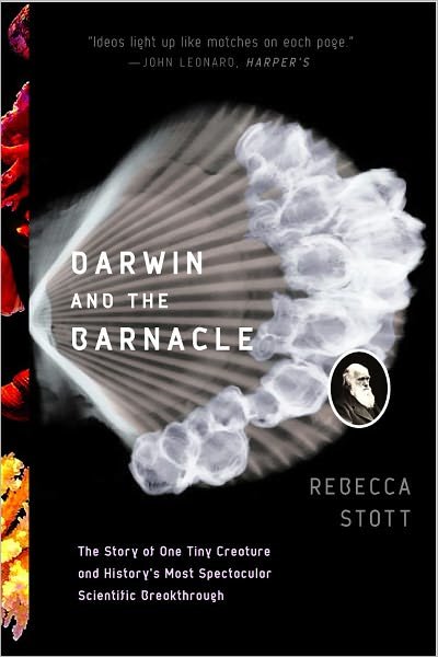 Cover for Rebecca Stott · Darwin and the Barnacle: The Story of One Tiny Creature and History's Most Spectacular Scientific Breakthrough (Paperback Bog) [New edition] (2004)