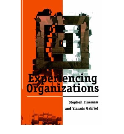 Cover for Stephen Fineman · Experiencing Organizations (Paperback Book) (1996)