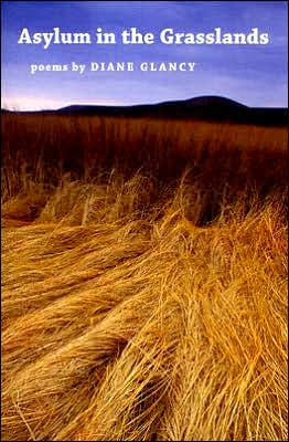 Cover for Diane Glancy · Asylum in the Grasslands (Paperback Book) (2007)