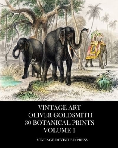 Cover for Vintage Revisited Press · Vintage Art (Taschenbuch) (2024)