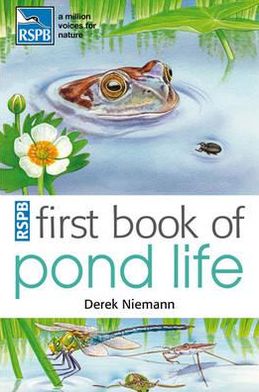 RSPB First Book Of Pond Life - Derek Niemann - Books - Bloomsbury Publishing PLC - 9781408165713 - May 24, 2012