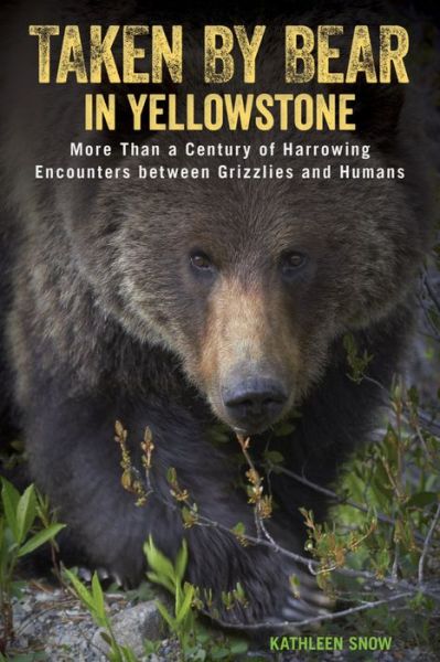 Cover for Kathleen Snow · Taken by Bear in Yellowstone: More Than a Century of Harrowing Encounters between Grizzlies and Humans (Paperback Book) (2016)