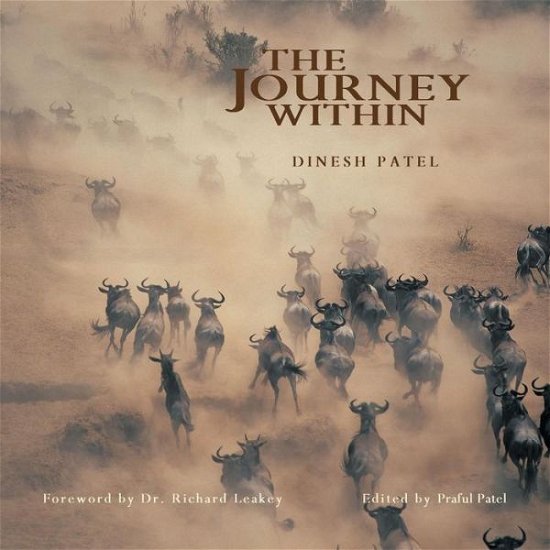 The Journey Within - Dinesh Patel - Livros - Authorhouse - 9781504913713 - 22 de junho de 2015