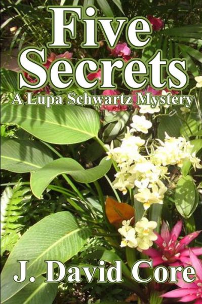 Cover for J David Core · Five Secrets: a Lupa Schwartz Mystery (Paperback Book) (2015)