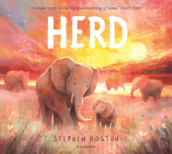 Cover for Stephen Hogtun · Herd (Paperback Book) (2025)