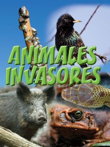 Cover for Amanda Doering Tourville · Animales Invasores (Hardcover Book) [Spanish edition] (2014)