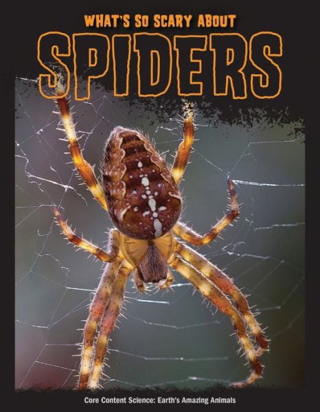 Cover for Joanne Mattern · What's So Scary about Spiders? (Pocketbok) (2022)