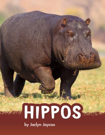 Cover for Jaclyn Jaycox · Hippos (Book) (2022)