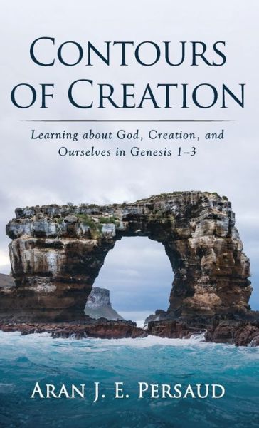 Cover for Aran J. E. Persaud · Contours of Creation (Hardcover Book) (2022)